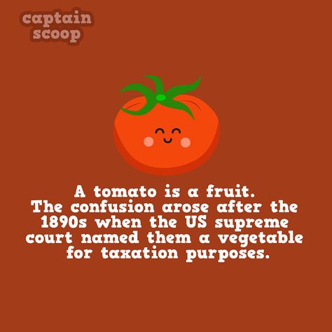 Well, that clears it up. #SOGOOD#healthyeat#healthymeals#glutenfree#health#normal#healthyeah#healthygut Best French Press Coffee, Kids Facts, Fruit Facts, Weird Fruit, Fun Facts For Kids, Fun Fact Friday, Green Eating, Healthy Food Facts, Crazy Facts