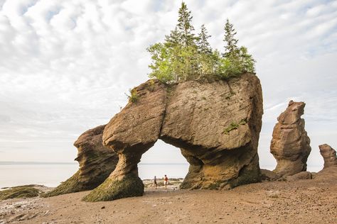 Hopewell Rocks, Fundy National Park, Bay Of Fundy, Eastern Canada, Atlantic Canada, Cape Breton, Prince Edward Island, New Brunswick, Canada Travel