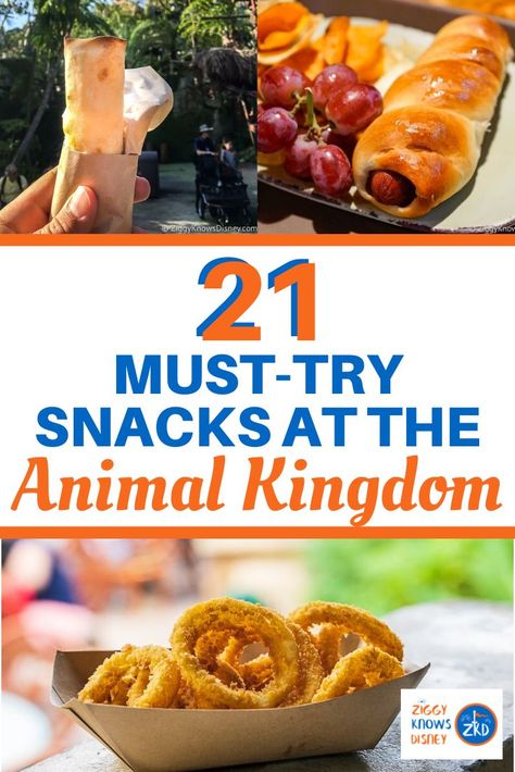 Animal Kingdom Snacks, Animal Kingdom Food, Amazing Snacks, Disney Animal Kingdom Lodge, Disney Animal Kingdom, Best Snacks, Disney World Vacation Planning, Disney World Restaurants, Disney World Food