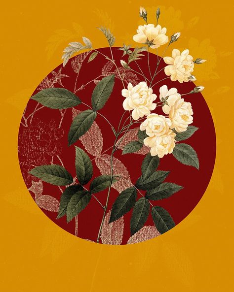 Vintage botanicals on primary circle. Floral geometric vintage art prints, wall art and home decor. Shop link in bio. #holyrockarts #vintage #botanical #flower #floral #summer #art #wallart #homedecor #interiordesign #designinspiration Lady Banks Rose, Society6 Wall Art, Yellow Art Print, Sweet Pea Flowers, Flower Poster, Botanical Illustration Vintage, Geometric Vintage, Floral Geometric, Botanical Painting