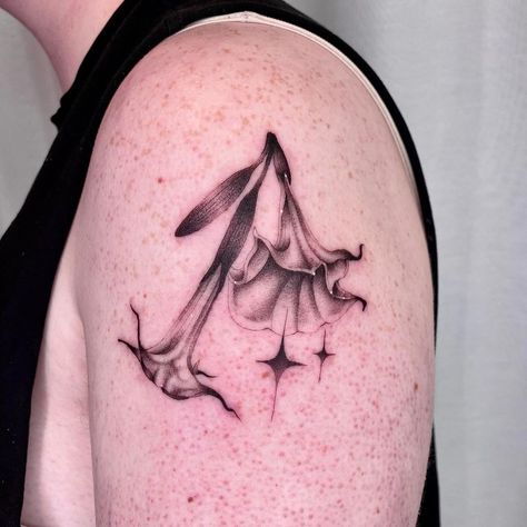 𝖊 𝖑 𝖎 ຊ 𝖆 - Fineline Tattoo Melbourne | Angel trumpets from my flash for Alec recently, thank you! ✦ ✦ Done @sevensaintstattoo • • • • • #flowertattoo #flowertattoos… | Instagram Trumpet Flower Tattoo, Trumpet Tattoo, Angels Trumpet, Trumpet Flower, Fineline Tattoo, Angel Trumpet, Line Art Tattoos, Trumpets, Tattoo On