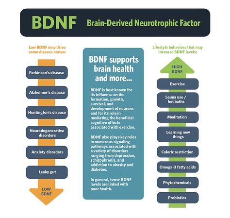 FoundMyFitness Topic - Brain-derived neurotrophic factor (BDNF) Cerebrospinal Fluid, Growth Factor, Mental Training, Brain Function, Alzheimers, Brain Health, Disease, Brain, Heat