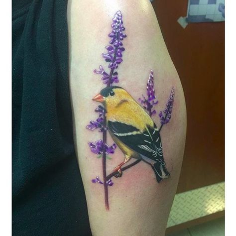 Goldfinch Tattoo, Finch Tattoo, Yellow Finch, French For Beginners, Explore Tattoo, Gifts Wrapping Diy, Book Tattoo, Goldfinch, Birds Tattoo