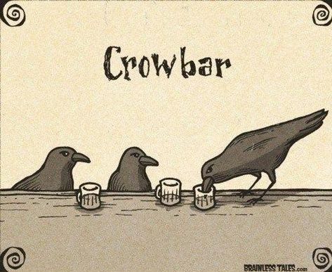 Two Crows, Bird Puns, Punny Puns, Funny Food Puns, Visual Puns, Corny Jokes, Cute Puns, Bad Puns, Funny Birds