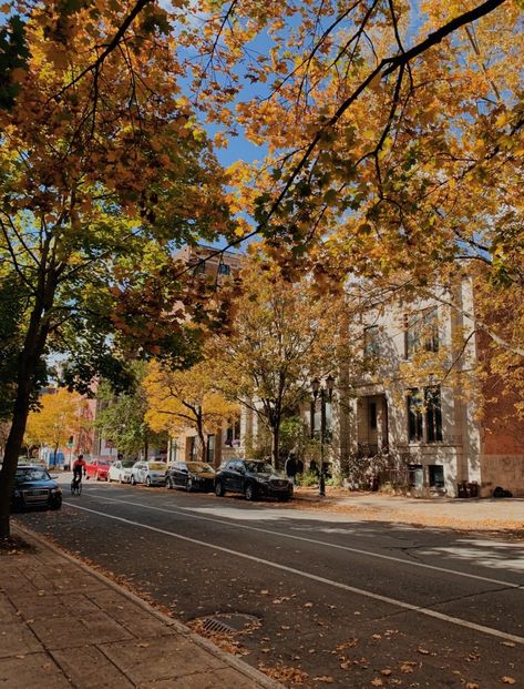 autumn vibes Montreal Fall Aesthetic, Montreal Fall, Autumn Breeze, Fall Inspo, Montreal Canada, Autumn Vibes, Fall Aesthetic, Cozy Fall, Fall Vibes