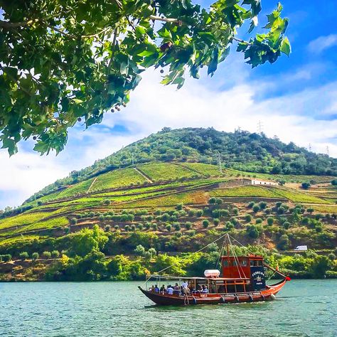 Enjoy a boat trip on the Douro river aboard of a traditional boat from this region - the Rabelo boat Douro River Cruise, Six Senses, Valley Landscape, Traditional Boats, Douro Valley, Helicopter Ride, Boat Trip, Mountain Bike Trails, Helicopter Tour