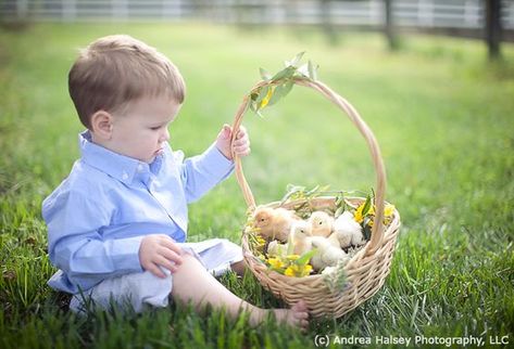 Baby Chick Photoshoot, Toddler Easter Pictures, Baby Chicks Photography, Easter Poses, Easter Family Pictures, Baby Easter Pictures, Easter Baby Photos, Easter Minis, Easter Portraits