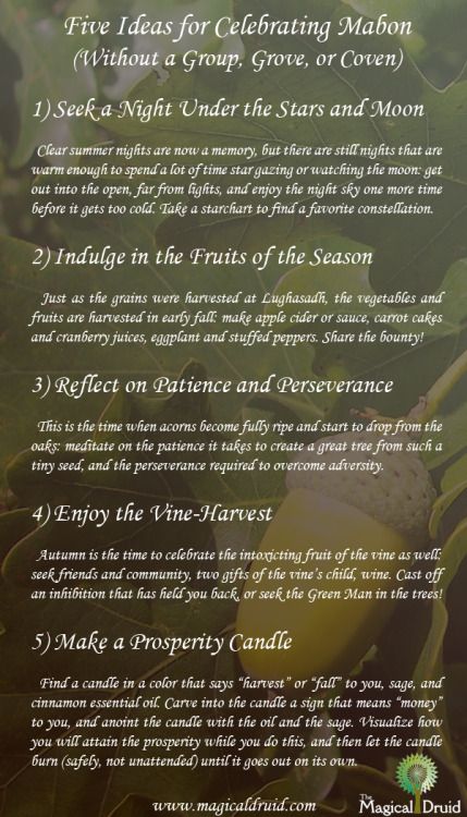 From The Magical Druid, things for people to do to celebrate the Autumnal Equinox even if they don’t have a local group to work with on the night. Witches Tools, Pagan Sabbats, Grail Diary, Pagan Holidays, Wiccan Sabbats, Pagan Beliefs, Autumnal Equinox, Witch Stuff, Eclectic Witch