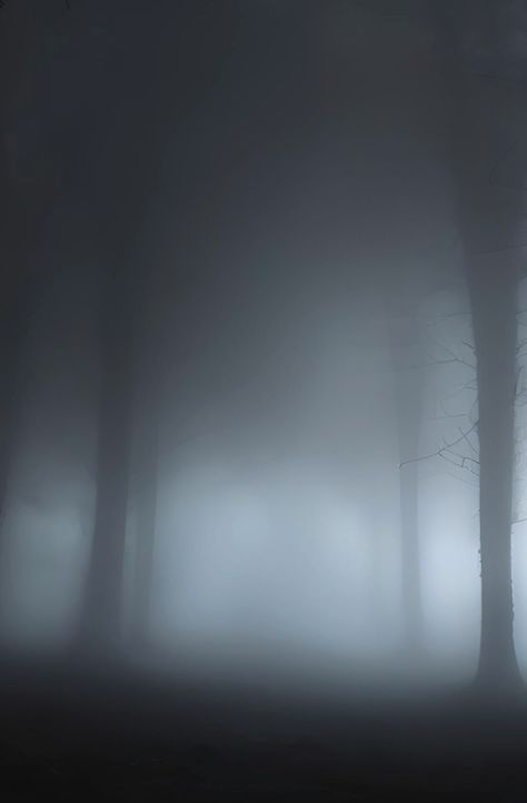 dark, scary, mist, eerie, fog, misty, shadowy, forest, haunted, spooky, foggy, wilderness, night, mysterious, landscape, foreboding, woods, ghostly, gloomy, fog-filled, picture Fog Aesthetic Dark, Fog Core, Scary Landscape, Creepy Fog, Foggy Background, Eerie Forest, Scary Woods, Mysterious Landscape, Mist Forest