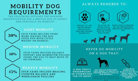 Mobility Service Dog Gear, Service Dog Gear For School, Mobility Service Dog, Service Dog Breeds, Service Dog Aesthetic, Service Dog Tasks, State Project, Dog Infographic, Psychiatric Service Dog