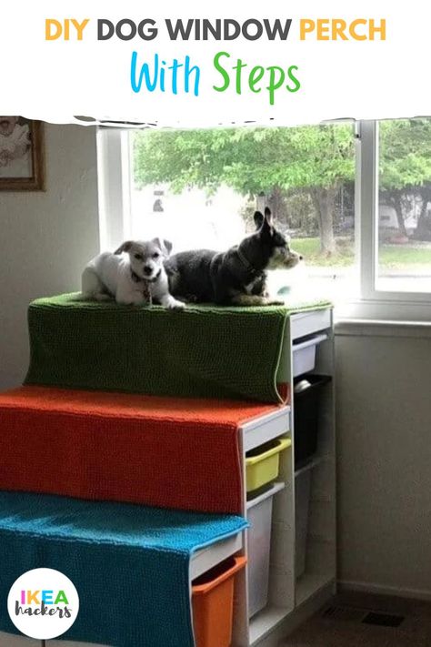 I needed something in my grandkids playroom that my small dogs could easily climb up on to sit and look out the window to the street. Came up with this idea that took zero carpentry skills and works perfectly. DIY dog window perch with steps - IKEA Hackers Dog Window Perch, Dog Window Seat, Grandkids Playroom, Ikea Hacks For Cats, Pet Furniture Dog, Ikea Kallax Shelving, Easy Diy Home Projects, Dog Bed Modern, Dog Window