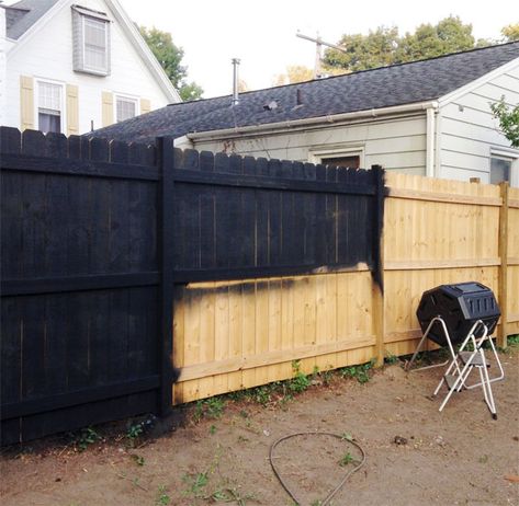 Manhattan Nest talks about staining his fence black Black Backyard Fence Ideas, Black Stained Fence Backyards, Stain Fence Black, Black Fence Panels, Stained Black Fence, Black Wooden Privacy Fence, Painting Fence Black, Black Wood Fence Backyards, Black Fence Stain