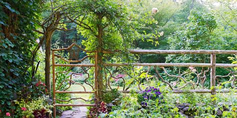 Rustic Arbor Ideas with Simple Charm | Better Homes & Gardens Garden Archways, Trellis Flowers, Vine Fence, Fence Trellis, Arbor Ideas, Rustic Arbor, Curved Pergola, Garden Archway, Rustic Pergola