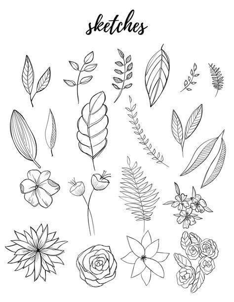 Free Botanical Drawings for Bullet Journaling – Liz Kohler Brown Out Line Drawing, Flower Doodle, Botanical Line Drawing, Botanical Elements, Floral Doodle, Pencil Drawings Easy, Leaf Drawing, Floral Drawing, Pola Sulam