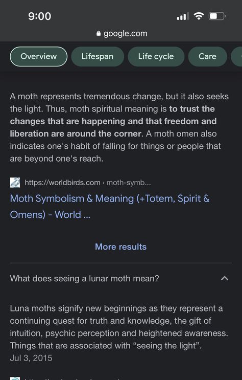 Luna Moth Spiritual Meaning, Luna Moth Tattoo Meaning, Luna Moth Meaning, Lunar Moth Tattoo Meaning, Moth Spiritual Meaning, Moth Meaning, Moth Symbolism, Moth Tattoo Meaning, Lunar Moth Tattoo