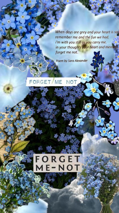 forget me not #flowers #flower #blueaesthetic #forgetmenots #blue #colleagues #peom # Forget Me Nots Aesthetic, Forget Me Not Flowers Wallpaper, Forget Me Not Flowers Aesthetic, Flowers Collage, Forget Me Not Flowers, Forget Me Not Flower, Forget Me Nots, Book Writing, Book Writing Tips