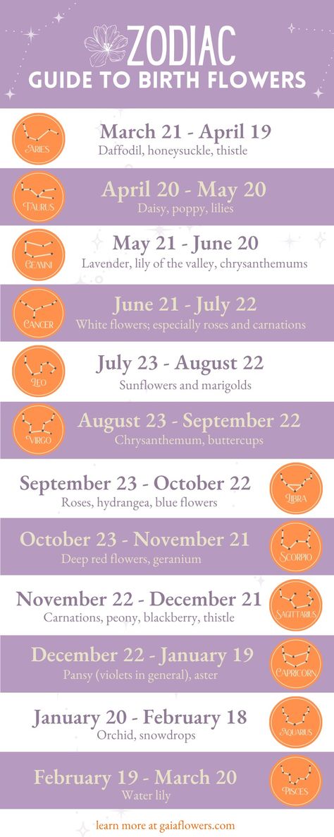 What’s your zodiac flower? Our guide to birth flowers Chinese Astrology Signs, Gemini Flower, Horoscope Calendar, December Birth Flower, Astrology Meaning, Zodiac Signs Chart, Zodiac Calendar, Zodiac Sign Tattoos, Chinese Astrology