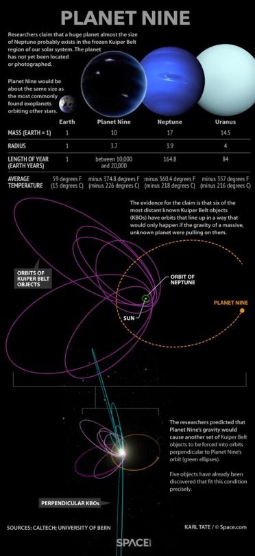 Planet Nine, Rogue Planet, Kuiper Belt, Astronomy Facts, Astronomy Science, Planets And Moons, Space Facts, Solar System Planets, The Planets