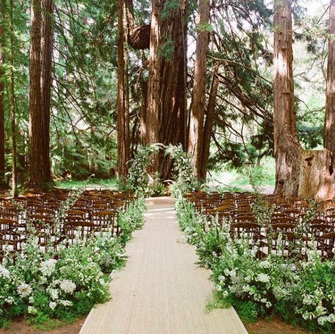 Elemental Wedding, Outdoor Venue Ideas, Romantic Candlelit Wedding, Redwood Forest Wedding, Santa Lucia Preserve, Wedding Locations California, Twilight Wedding, Candlelit Wedding, Forest Setting