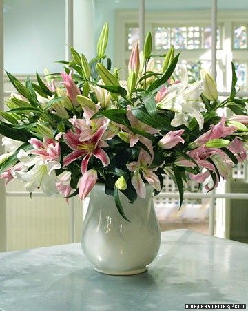 Suffuse your home in sweet scent with a lovely lily arrangement that's certain to wow dinner guests. Martha's preferred hybrids include softly hued Broadway, Stargazer, and Le Reve lilies. Lily Flower Arrangements, Lily Arrangement, Fake Flower Arrangements, Spring Flower Arrangements, Lily Garden, Flower Containers, Pink Lillies, Flower Arrangements Simple, Modern Flower Arrangements