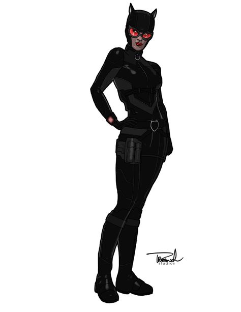 Catwoman Suit, Darwyn Cooke, Catwoman Cosplay, One Piece World, Evil Villains, Batman And Catwoman, Selina Kyle, Batman And Robin, Cat Woman Costume