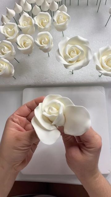 Garden Sugar Flowers on Instagram: "You can now subscribe! Complete videos on how to make my gum paste, flowers, and more! Link ⬆️⬆️⬆️⬆️⬆️ • • • • • • #gumpaste #gumpasteflowers #sugarflowers #sugarflower #sugarflowerart #artsugar #cake #cakes #cakedecorator #cakedesign #cakedecorating #cakeart #cakeartist #cakedecoratorsofinstagram #cakesupplies #topper #toppers #flowers #birthdaycake #weddingcake #weddingcakes" Gum Paste Flowers Cake, Gum Paste Flowers Tutorials, Sugar Paste Flowers, Sugar Flowers Tutorial, Fondant Flower Tutorial, Cakes Decorating, Flower Season, Wedding Anniversary Cakes, Unique Birthday Cakes