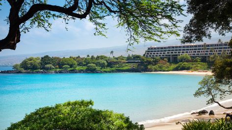 Support Ecotourism in Hawaii at Mauna Kea Beach Hotel | Virtuoso Mauna Kea Beach Hotel, Best Summer Vacations, Hawaii Resorts, Mauna Kea, Hawaii Trip, Hawaiian Vacation, Beach Hotel, Hawaii Island, Sustainable Travel