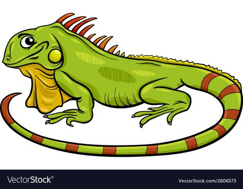 Lizards Drawing, Cartoon Iguana, Iguana Cartoon, Iguana Illustration, Iguana Drawing, Lizard Logo, Dream Catcher Vector, Camels Art, Animal Character