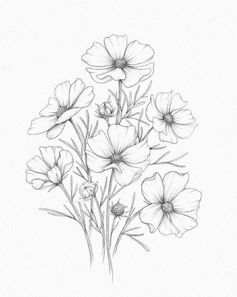 Closed Flower Drawing, Fineliner Drawing Ideas, Cosmo Flower Drawing, Cosmo Tattoo Flower, Cosmos Flowers Drawing, Cosmo Flower Tattoo, Cosmos Drawing, Project Sketchbook, Cosmos Tattoo