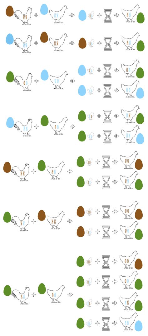 Sage Egger Chicken, Chicken Egg Colors, Chicken Rearing, Chicken Breeding, Olive Egger, Hatching Chickens, I Am Blue, It's Complicated, Brown Eggs