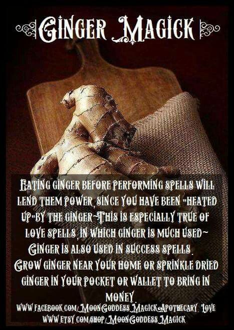 A Little Extra, Extra – Ginger Magick | Witches Of The Craft® on WordPress.com Magickal Herbs, Witch Herbs, Magia Das Ervas, Magic Herbs, Magick Spells, Eclectic Witch, Magical Herbs, Wiccan Spell Book, Pagan Witch