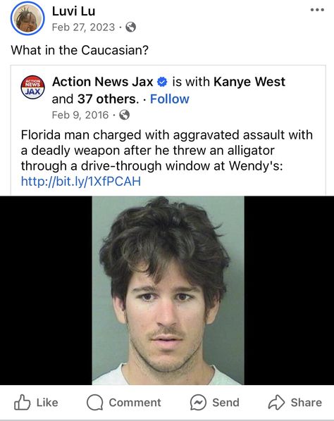 Florida Man Meme, Crocodile Funny, Florida Funny, Funny Captions, Funny Meme, Really Funny Pictures, Really Funny Memes, Tumblr Funny, Funny People