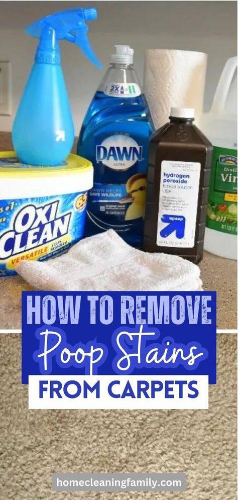 Follow this cleaning tutorial to learn how to remove poop stains from carpets. This DIY poop stain remover will get rid of the smell too. Check it out now! Carpet Stain Remover, Putz Hacks, Smell Remover, Carpet Diy, Carpet Stain, Deep Cleaning Hacks, Cleaning Painted Walls, Sick Remedies, Cleaning Lady