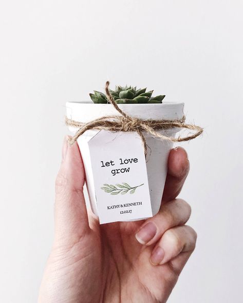 Succulent Wedding Favors, Baby Shower Favours, Let Love Grow, Succulent Favors, Wedding Favors And Gifts, Rustic Wedding Decorations, Painted Terra Cotta Pots, Best Wedding Favors, Wedding Favors Cheap