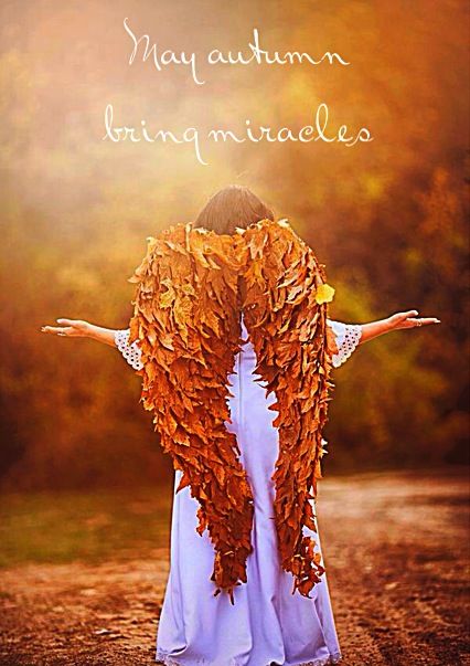 I just love this Autumn Angel. May the season bring you miracles <3  #Autumn #Angel #miracle I Believe In Angels, Angels Wings, Colors Of Autumn, Autumn Love, Seasons Autumn, Love Autumn, Angels Among Us, Fabulous Fall, Autumn Thanksgiving