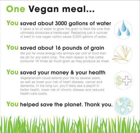 Just one vegan meal saves this much water, grain, money & your health. Vegan Benefits, Vegan Facts, Why Vegan, Vegan Quotes, Meat Alternatives, Vegan Inspiration, Vegan Living, Vegan Clothing, Eat Better