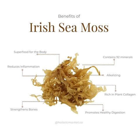 irish sea moss image with written benefits Irish Sea Moss Benefits, Sea Moss Benefits, Irish Sea Moss, Sea Vegetables, Irish Moss, Irish Sea, Herbs For Health, Sea Moss, Healthy Digestion