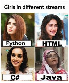 How is Python Different from Other Programming Languages? Commerce Jokes, Medical Student Humor, Ankita Singh, School Admission Form, Programing Jokes, Admission Form, Physics Memes, Student Jokes, Engineering Memes