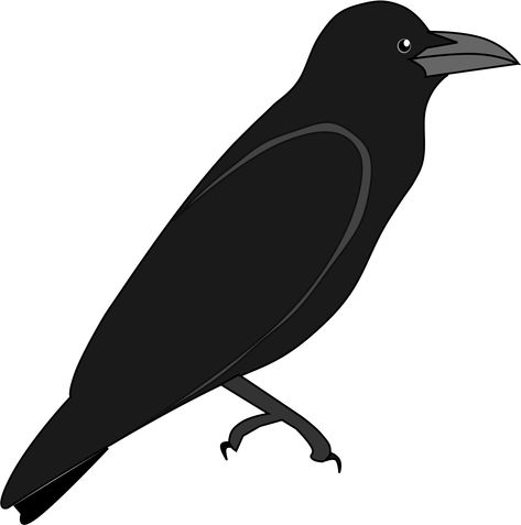 Crow Outline, Sun Clip Art, Art Outline, Outline Images, Background Clipart, Clipart Black And White, Clipart Images, Transparent Background, Clip Art