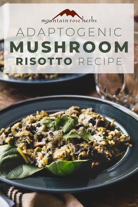 Vegan Mushroom Risotto, Vegan Risotto, Great Dinner Recipes, Mushroom Risotto Recipes, Mountain Rose Herbs, Risotto Recipe, Dried Mushrooms, Mushroom Risotto, Vegan Parmesan