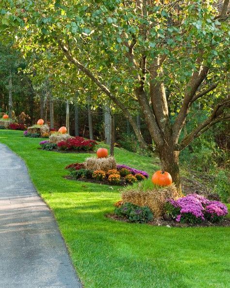 Traditional Fall Landscape with Pumpkins, Mums, and Hay Bales Christmas Desk, Halloween Entryway, Fall Landscaping, Fall Garden Decor, Desk Decorations, Driveway Landscaping, Diy Outdoor Decor, Landscape Designs, Traditional Landscape