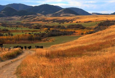 15 Things to Know Before Moving to Montana Montana Living, Population Density, Montana Vacation, Big Sky Montana, Bozeman Montana, Big Sky Country, Scenic Photography, Power Of Nature, Rural Area