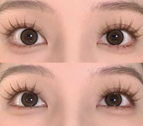 Manhwa Lashes Extension, Kpop Lashes, Big Asian Eyes, Lashes On Asian Eyes, Eyelash Extensions Korean, Lash Extensions Asian Eyes, Asian Lash Extensions, Manga Lashes Extensions, Manhwa Lashes