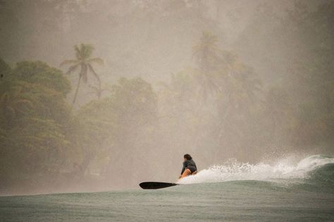 you me & da sea Long Board Surf, Women Surfing, Long Boards, Mavericks Surfing, Water Surfing, Long Board, Surfing Photography, Surf Trip, Surf Lesson