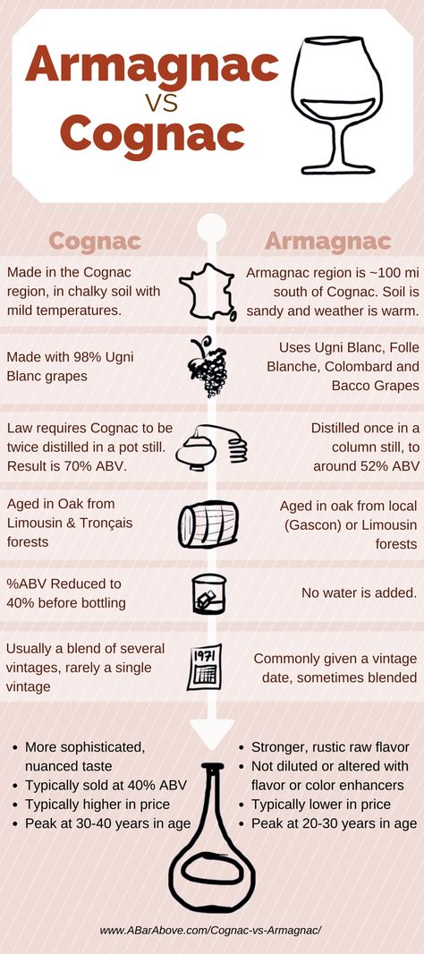 Wine Knowledge, Food Infographic, Cigars And Whiskey, Types Of Wine, Wine And Liquor, Mixology, Wine And Spirits, A Bar, Cocktail Drinks