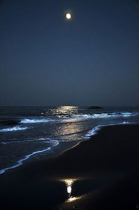 Moon Sea, Jacques Cousteau, Ocean At Night, Water Aesthetic, Architecture Art Design, Ocean Pictures, Ocean Sky, Night Scenery, Pretty Landscapes