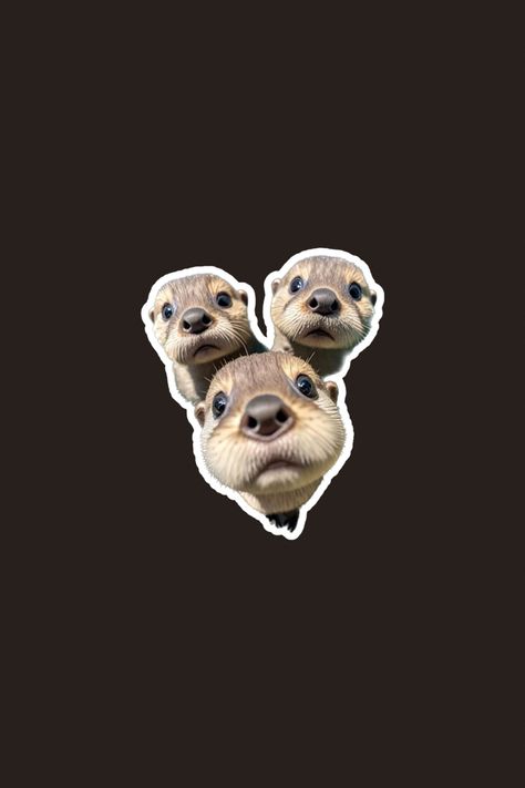 Cute animals, Cute otters, stickers, wallpapers, brown wallpaper Cute Otters, Warm Fuzzies, Animals Cute, Sea Otter, Brown Wallpaper, Otters, Animals Wild, Kittens, Cute Animals