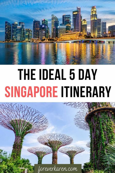 Singapore Travel Tips, Singapore Itinerary, Things To Do In Singapore, Visit Singapore, Travel Destinations Asia, Singapore Travel, Asia Travel Guide, Southeast Asia Travel, Gardens By The Bay