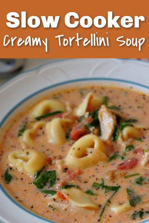 Spinach And Chicken Soup, Spinach Tortellini Soup, Creamy Tortellini, Chicken Tortellini Soup, Tortellini Recipes, Chicken Gnocchi Soup, Spinach Soup, Soup Recipes Slow Cooker, Tortellini Soup