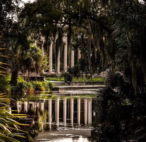 New Orleans City Park Pavilion New Orleans Trees, Audubon Park New Orleans, New Orleans Park, New Orleans Landscape, New Orleans Mansion, Spanish Moss Trees, Southern Gothic Aesthetic, Irl References, New Orleans City Park